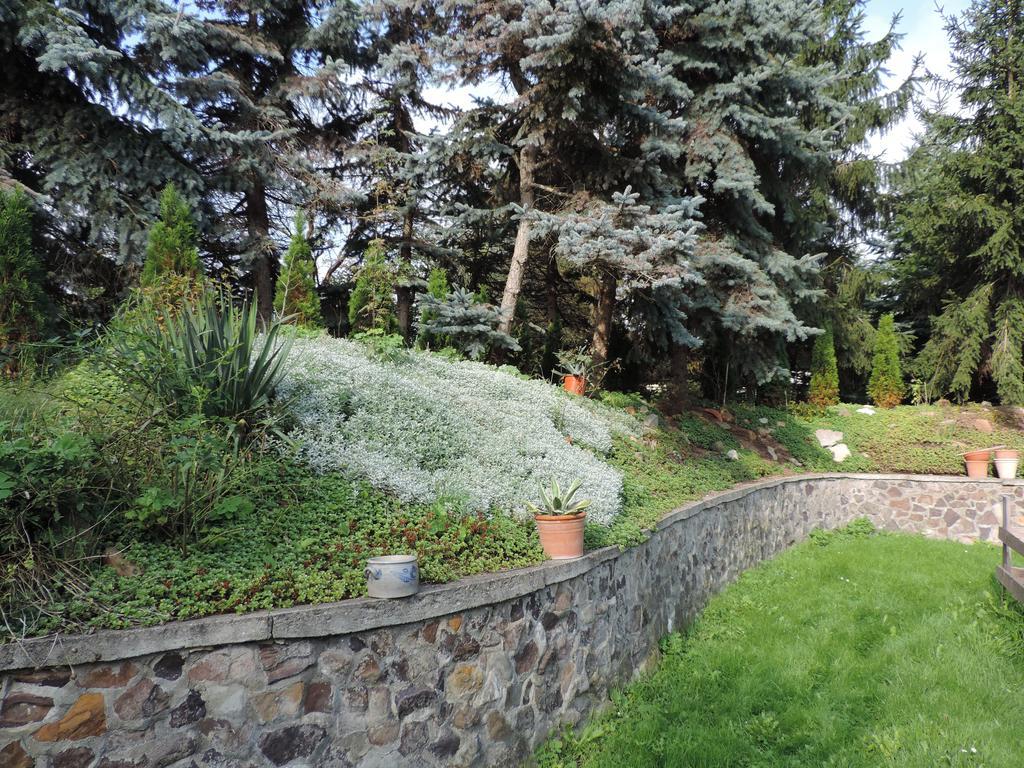 Ferienhaus Baldamus In Blankenburg Blankenburg  Cameră foto